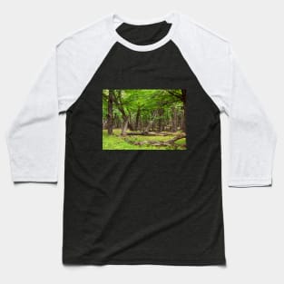 Silence in a timeless forrest Baseball T-Shirt